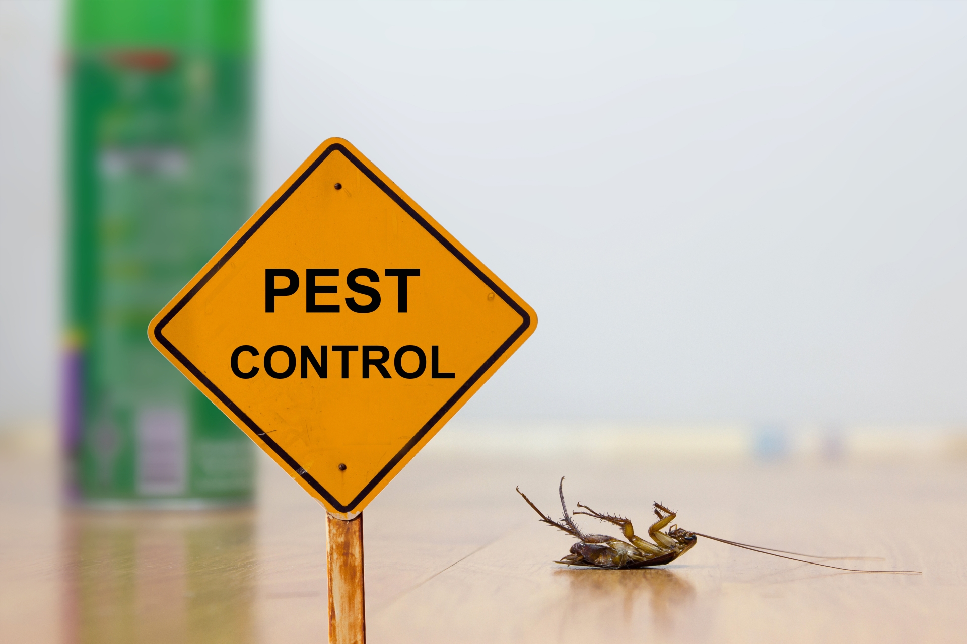 24 Hour Pest Control, Pest Control in Archway, N19. Call Now 020 8166 9746