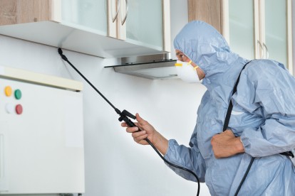 Home Pest Control, Pest Control in Bellingham, SE6. Call Now 020 8166 9746