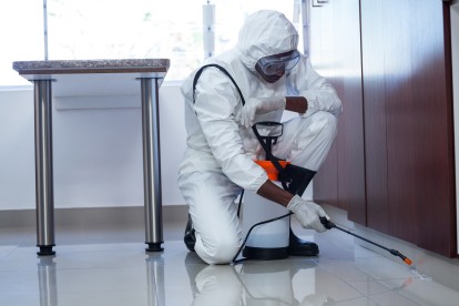 Emergency Pest Control, Pest Control in Colindale, Kingsbury, NW9. Call Now 020 8166 9746