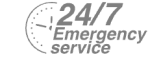 24/7 Emergency Service Pest Control in Dagenham, RM8, RM9, RM10. Call Now! 020 8166 9746