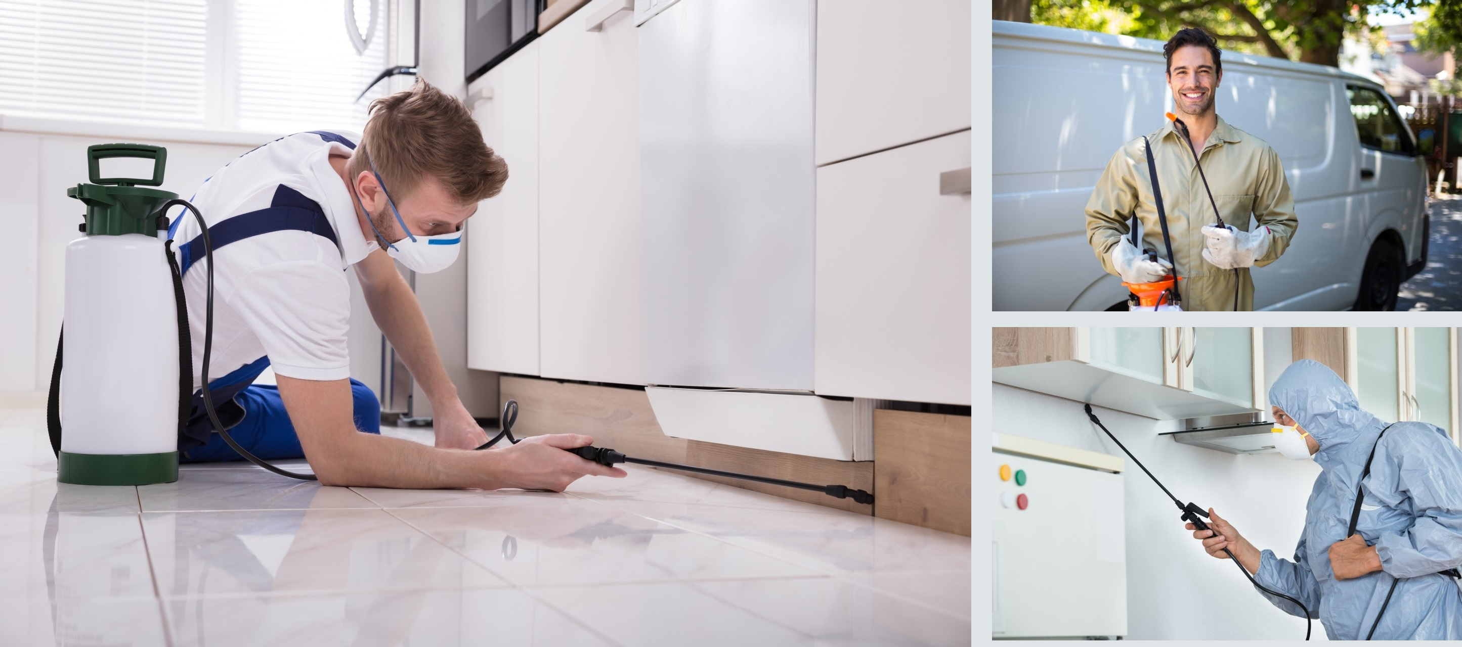 Residential Services Services, Pest Control in Beddington, SM6. Call Now! 020 8166 9746