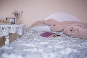 Bed Bug Exterminator, Pest Control in Leyton, E10. Call Now 020 8166 9746