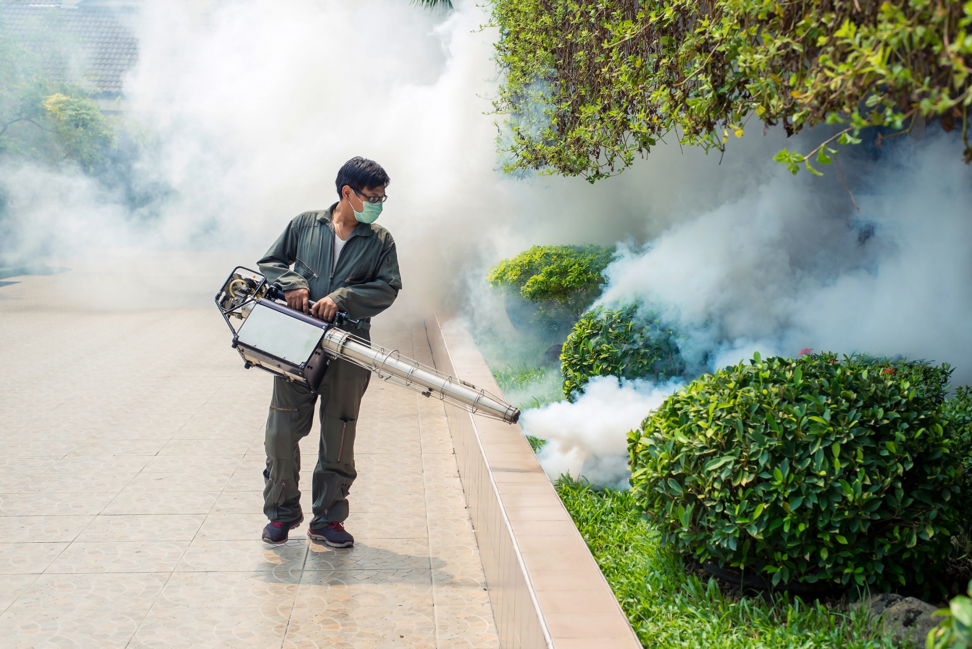 Bug Control, Pest Control in Pinner, Eastcote, Hatch End, HA5. Call Now 020 8166 9746