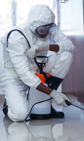 Pest Control in Teddington, Fulwell, TW11. Call Now! 020 8166 9746